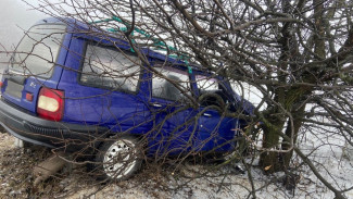 Пенсионеры пострадали в вылетевшем с дороги универсале в Воронежской области