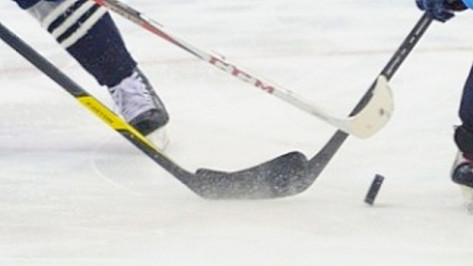 Детская команда «Бурана» победила во всероссийском хоккейном турнире