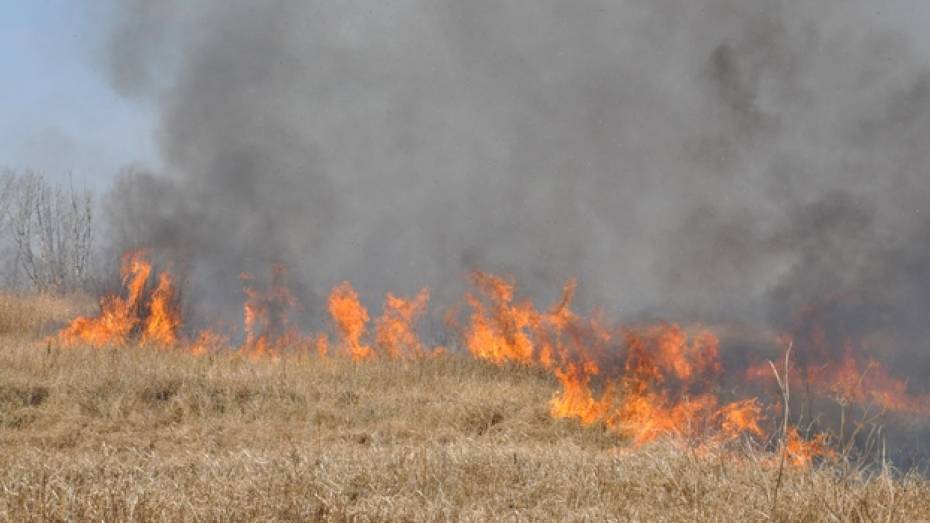 Эртильские пожарные за один день ликвидировали три возгорания сухой травы