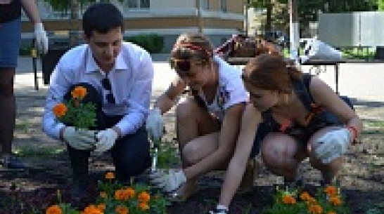 В Воронеже появилась клумба в виде Георгиевской ленты