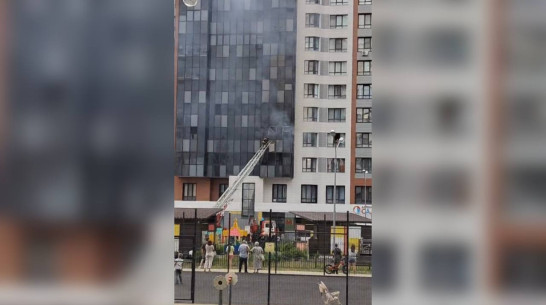 В Воронеже ЖК «Современник» сгорела квартира: видео