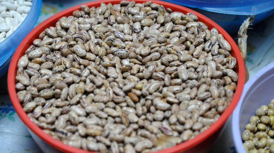 Без пестицидов и ГМО. Почему Воронежская область заинтересовалась органик-производством