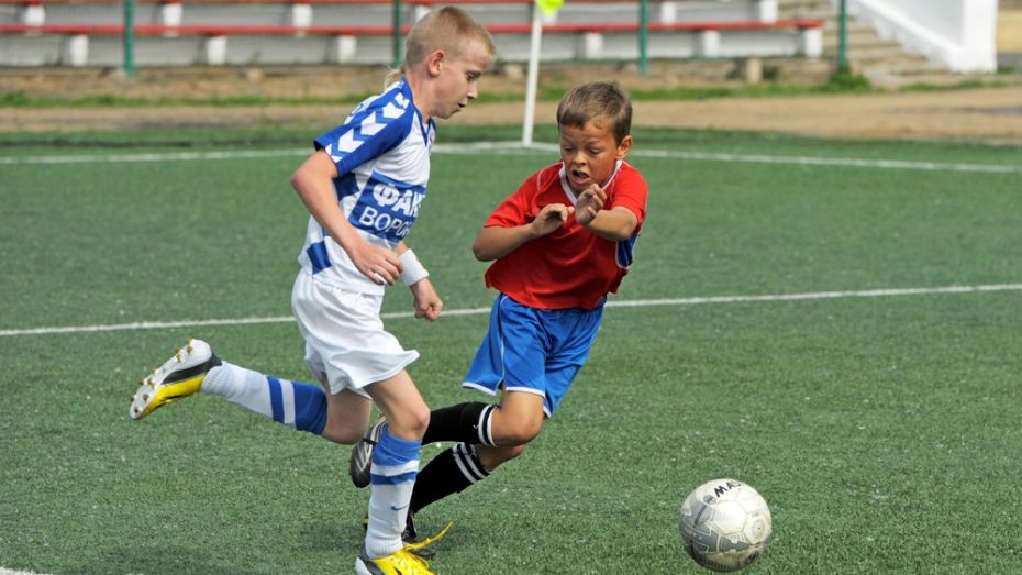 Воронежская область получит 8,4 млн рублей на футбольные поля для спортшкол