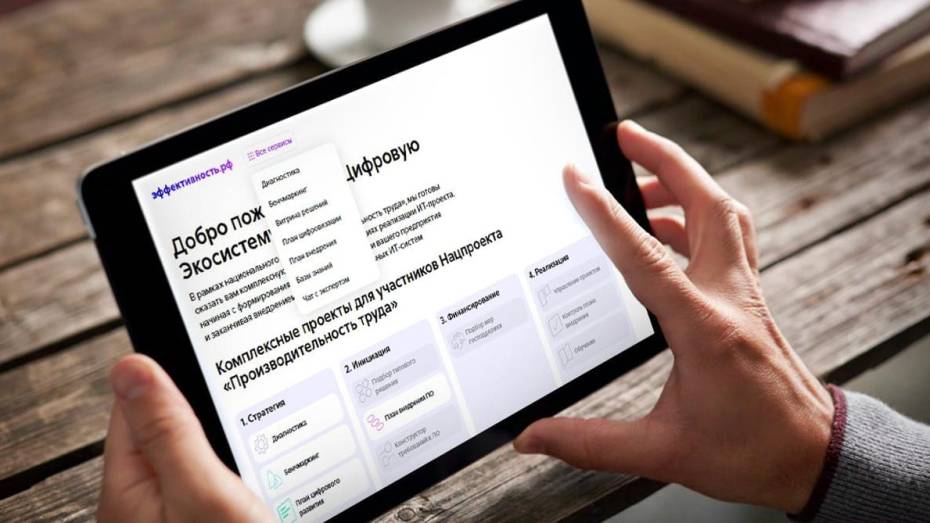 В России запустили платформу цифровых решений нацпроекта «Производительность труда»