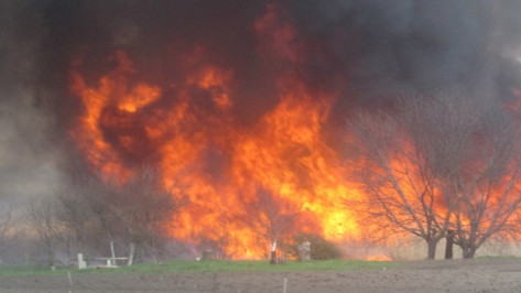 В Кантемировском районе за два дня потушили семь ландшафтных пожаров