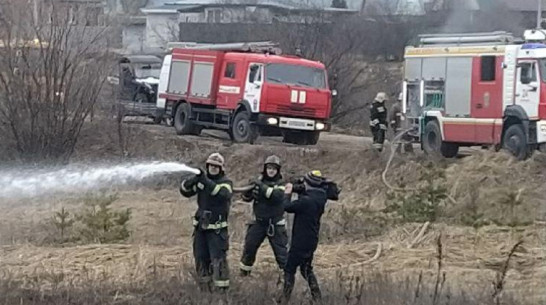 Под Воронежем потушили крупный лесной пожар
