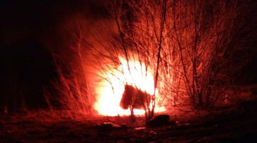 Полиция начала поиски водителя сгоревшей после ДТП под Воронежем иномарки