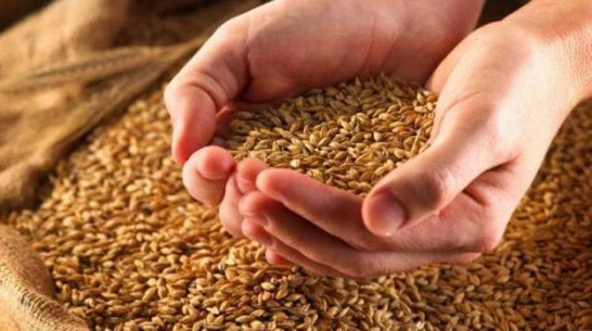 Предприятие, директора которого подозревают в крупном мошенничестве, и ранее неэффективно использовало бюджетные средства