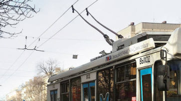 Пенсионерке зажало голову дверью троллейбуса в Воронеже