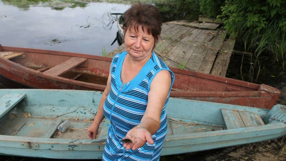В Воронежской области на реке Битюг начала массово гибнуть рыба 