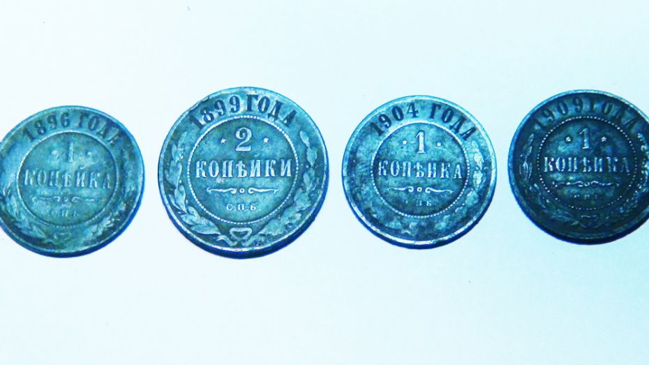 Таловский краевед нашел 4 дореволюционные монеты на территории природного заповедника