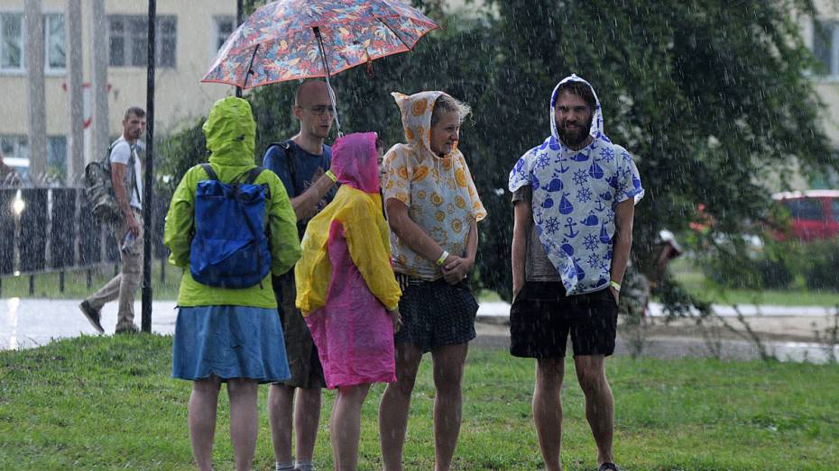 Метеорологи дали прогноз погоды на июнь в Воронежской области