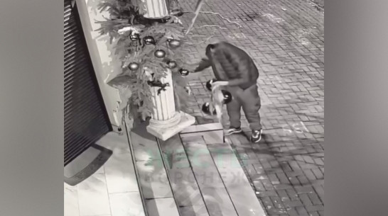 Воронеж продолжает страдать от «Гринчей»: неизвестный сорвал новогодние игрушки с фасада магазина