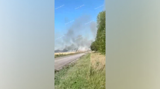 Сильный пожар, охвативший пшеничное поле под Воронежем, сняли на видео