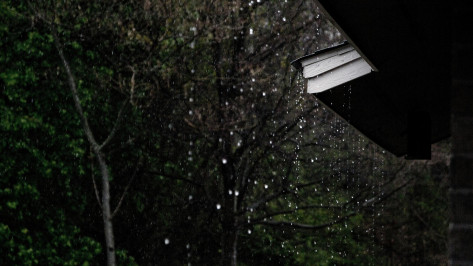 Прогноз погоды в Воронеже на 14 июня