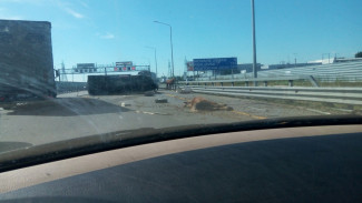 В Воронеже на платном участке трассы М4 погибла лошадь