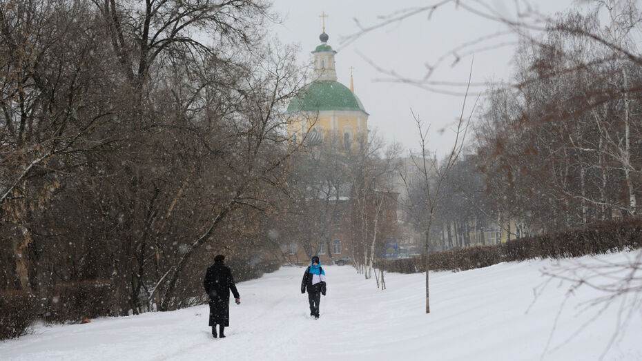 Метеорологи спрогнозировали морозную и снежную неделю в Воронеже