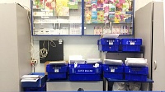 Воронежская почта возьмет на себя госуслуги