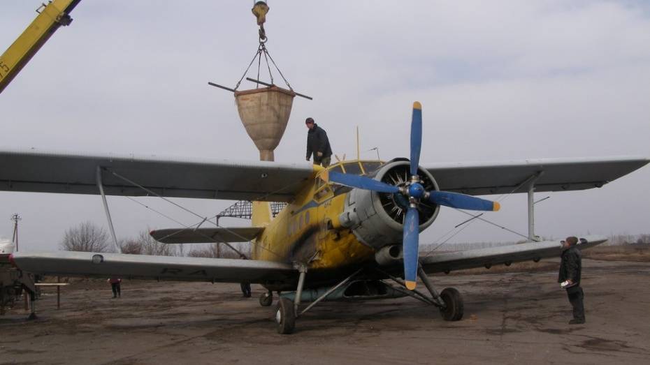 В Воронежской области упал самолет Ан-2