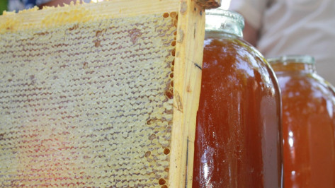 В Лисках Медовый Спас собрал пчеловодов со всего района