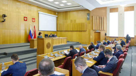 Депутаты приняли первые поправки в бюджет Воронежской области на 2020 год