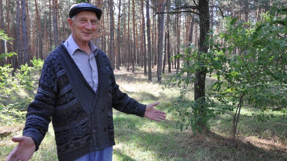 Павловский пенсионер очистил сосновый бор от  25 т мусора