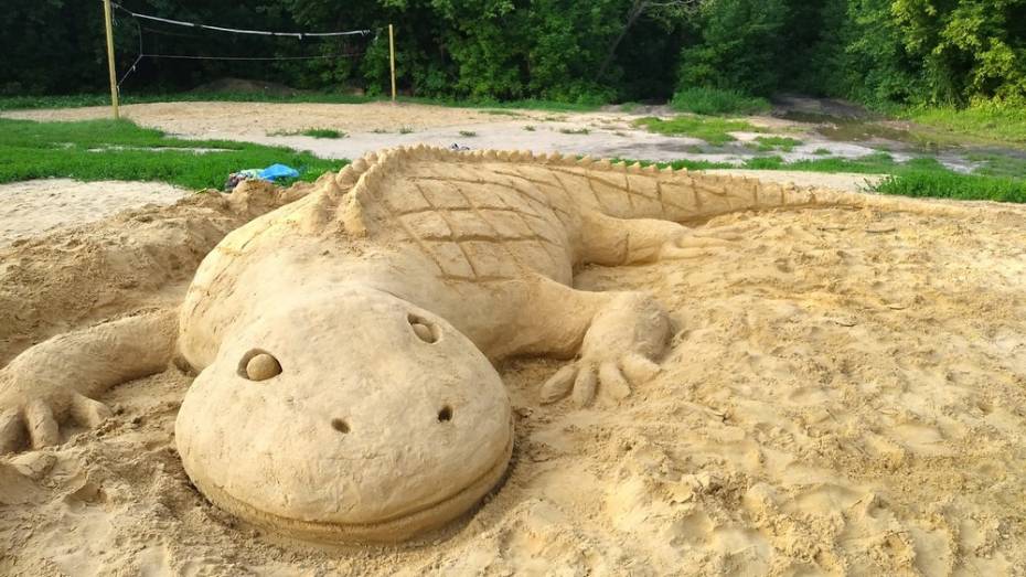 В Россоши на пляже неизвестные сломали фигуры гигантских крокодилов из песка
