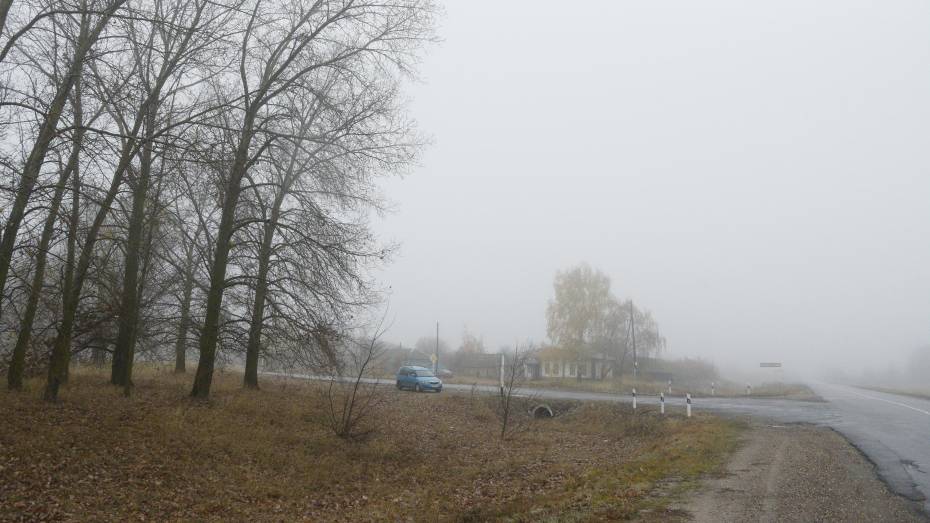 В Воронежскую область вновь придет туман