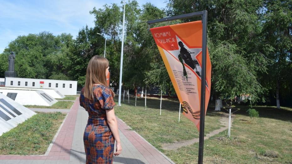 В Борисоглебске неизвестные повредили 8 баннеров на территории комплекса «Родина-Мать»