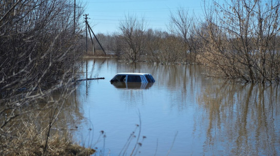 Подъем автомобиля из реки Ворона в Борисоглебском районе попал на видео