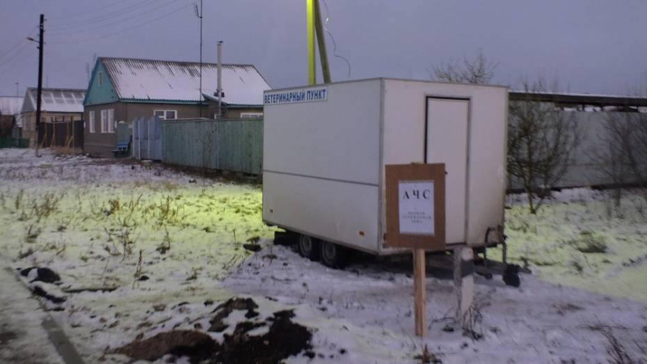 На въезде в поселки Калачеевского района установили дезбарьеры против АЧС
