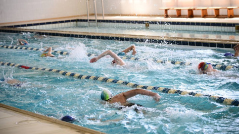 Владимир Нетесов: «Сохранение памяти о выдающихся воронежских спортсменах и их тренерах – один из приоритетов»