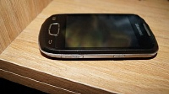 Воронежских выпускников перед ЕГЭ будут обыскивать с металлодетектором