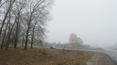 В Воронежскую область вновь придет туман