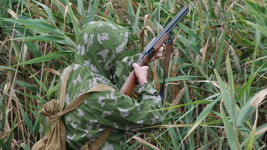Кантемировцам запретили охотиться в зоне 5 км от границы с Украиной