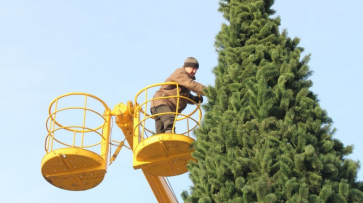 Первая районная новогодняя елка откроется в Воронеже 25 декабря