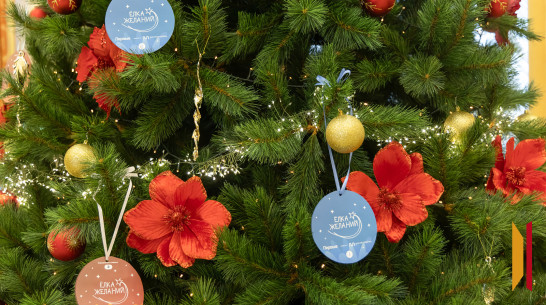 Воронежский губернатор исполнил мечту 7-летней девочки в рамках акции «Елка желаний»