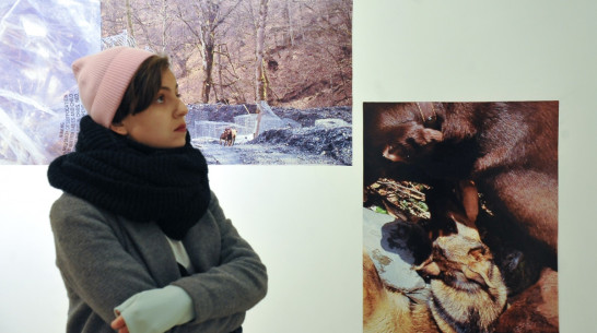 В Воронеже открылась выставка о заброшенных пространствах