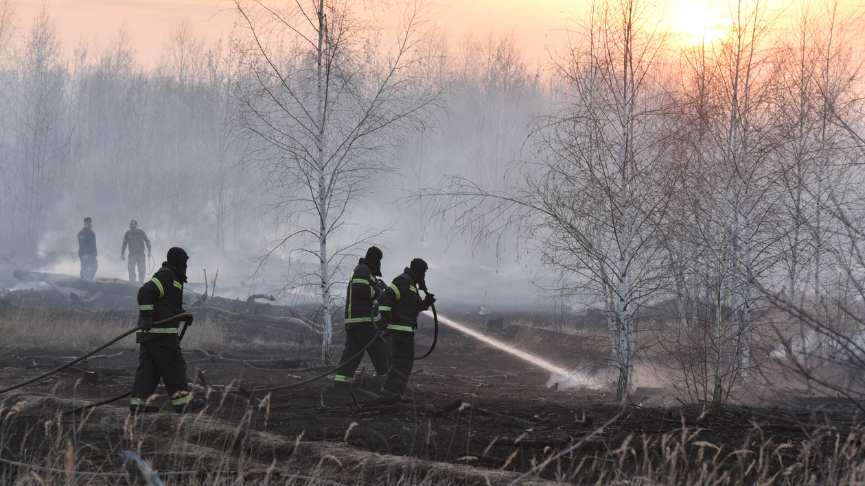 Горячий вторник. Спасатели остановили огонь на окраине Воронежа