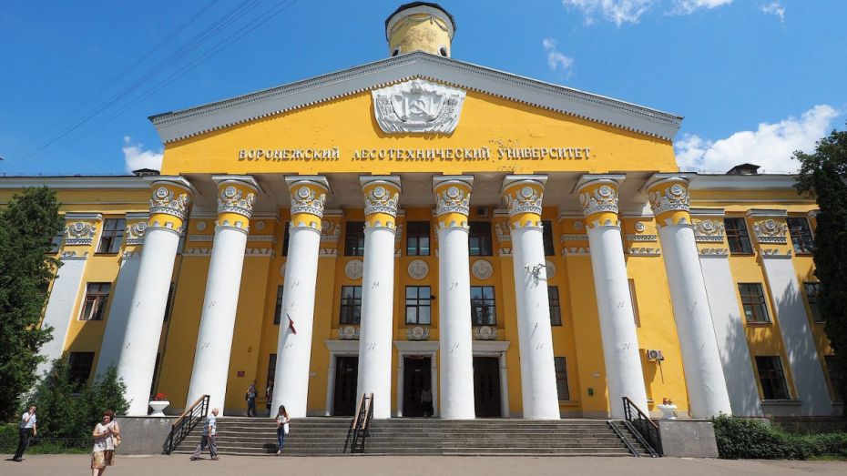 Историческое здание воронежского вуза освежат за 50 млн рублей