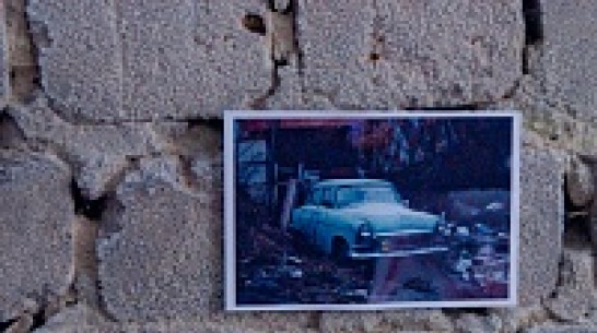 Выставка на руинах в парке «Динамо»: инструкция по применению