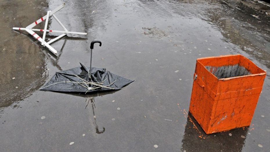 МЧС предупредило о сильном ветре в Воронежской области