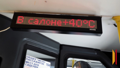 Воронежцам рассказали, когда закончится аномальная жара