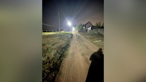 В Воронежской области остановили поиски пропавшего 14-летнего мальчика