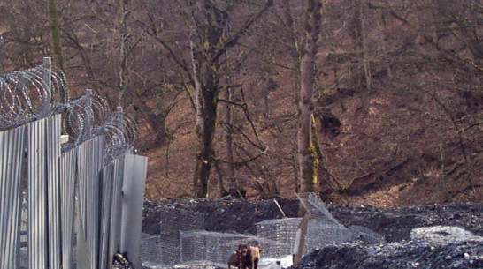 Молодые художники найдут в Воронеже Южную Америку