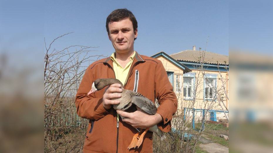 Житель поворинского села Самодуровка спас подстреленного охотниками гуся