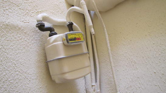 Воронежец выплатил 774 тыс рублей за манипуляции с газовым счетчиком