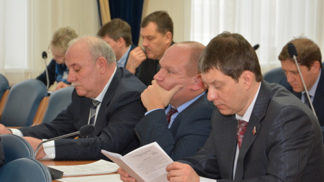 Воронежские депутаты определятся с кандидатами в комиссию по выборам мэра 7 февраля 