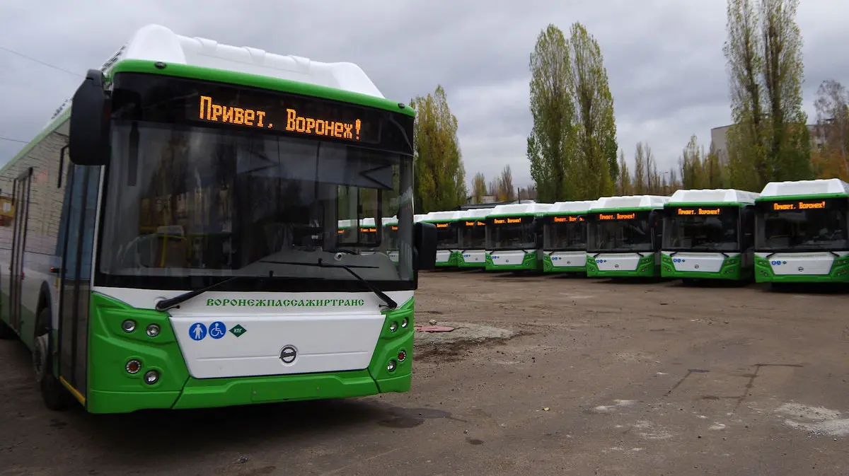 Подорожание проезда. Новости общества в Воронеже - РИА