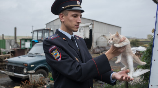 Под Воронежем напавшего на «народного участкового» депутата отправили под домашний арест